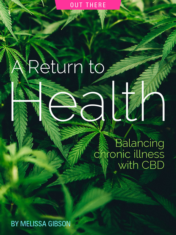 A Return to Health, CBD, Hemp, by Melissa Gibson. Photograph of hemp plant by Matthew Brodeur