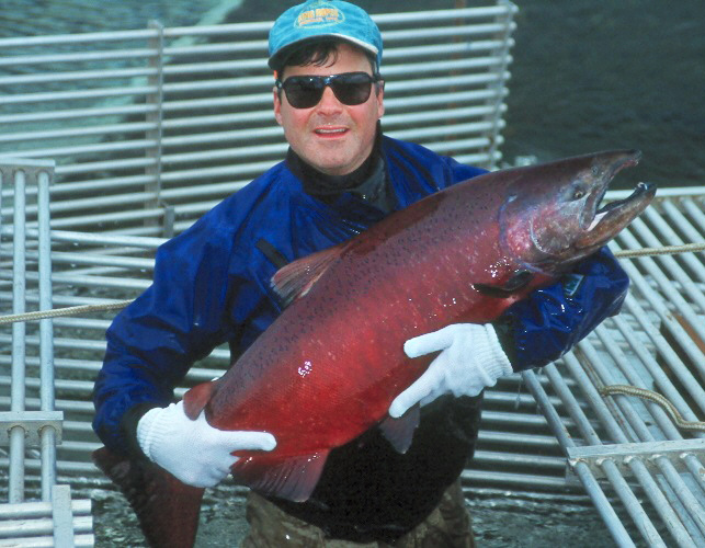 Dave Cannon, king salmon, environment, alaska