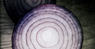 A Fistful of Onions | The Deep Healing Power of Food