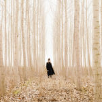 Restoration: A Poem