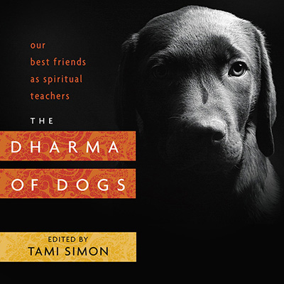 The Dharma of Dogs, edited by Tami Simon