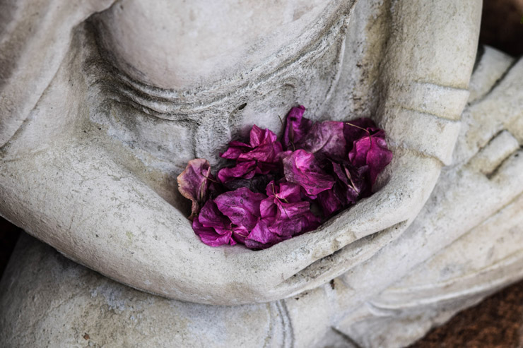 Mindful Space; photograph of Buddha holding flower petals by Chris Ensey