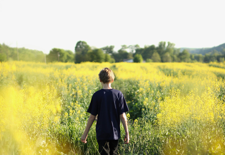 Live in Light, Photograph of boy in field by Rachael Crowe