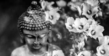 Yogananda & Me: The Human Story of a Spiritual Guru