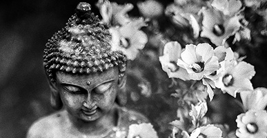 Podcast: Philip Goldberg | Yogananda and Me