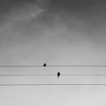 Mindfulness and Race: Bearing Witness to Our Racial Distress