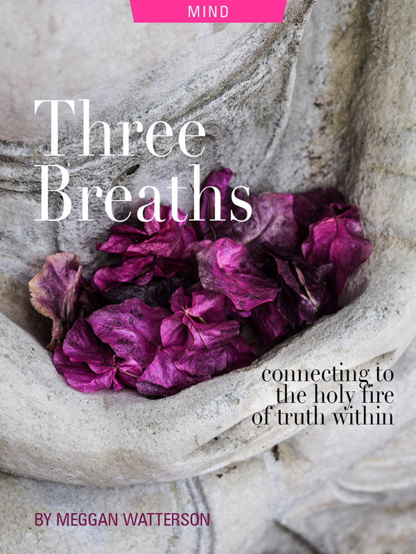Three Breaths: Connecting to The Holy Fire of Truth Within, by Meggan Watterson. Photograph of flower pedals upon a Buddha's arms by Chris Ensey