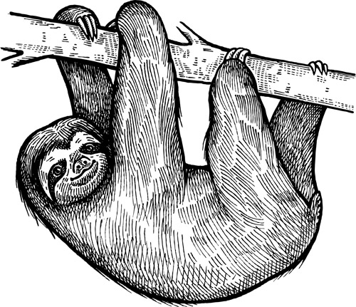Illustration of a sloth from The Book of Beasties