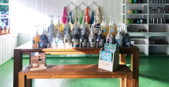 Woodstock Bring Your Own: Rethinking Consumption, One Bottle at a Time