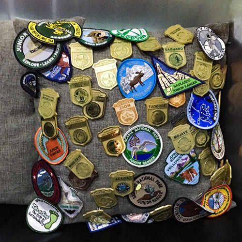 collection of pins from parks