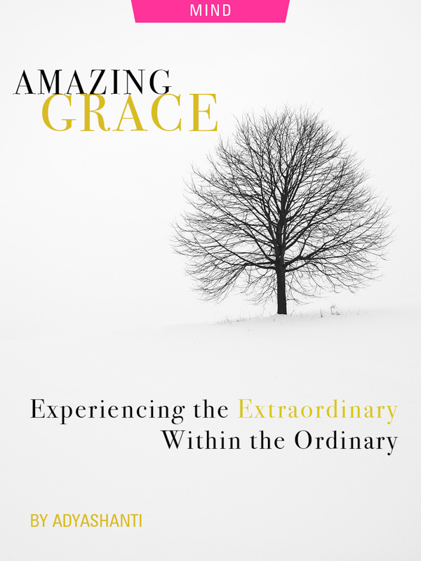 Amazing Grace: Experiencing the extraordinary within the ordinary by Adyashanti, photograph of Tree in winter snow by Fallice Villard