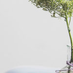 Under Pressure: How alignment with our core values helps us navigate stress differently by Samantha Brody. Photograph of a plant in a glass jar by Gaelle Marcel