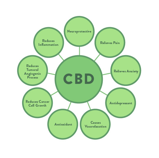Graphic of benefits of CBD