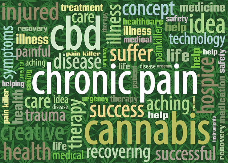 Graphic of words about CBD
