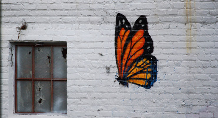 The Empath and the Narcissist: A Love Story? by Nikki Bruno. Photograph of a butterfly painted on a broken building wall by Kristel Hayes