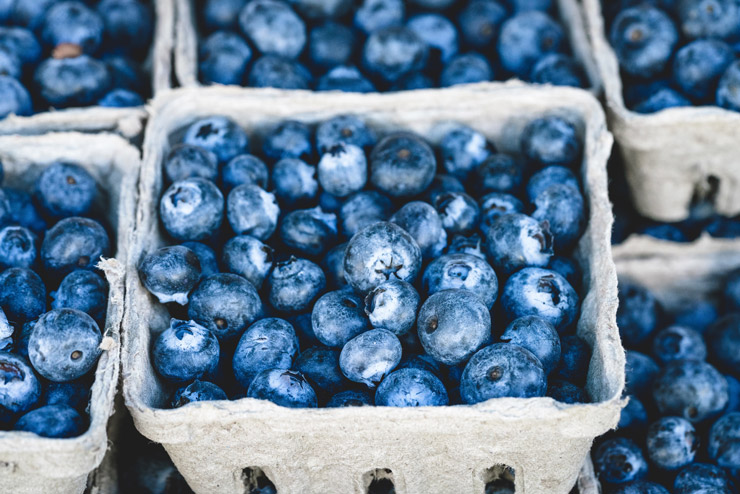 Photograph of blueberries by Veeterzy