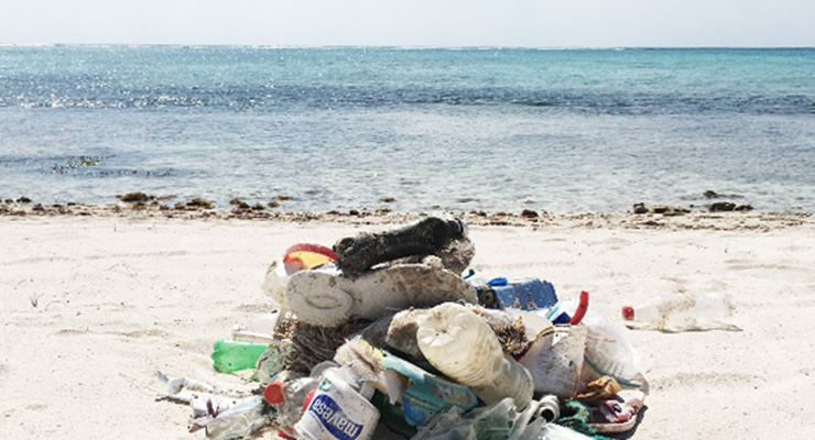 Conscious Consumption: Reducing Plastic Pollution, A Ripple Effect For Good