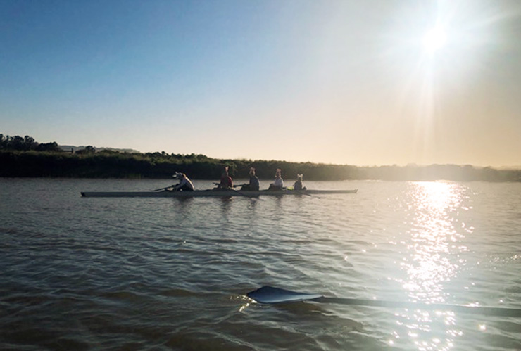 Triumph Over Lyme Disease: Experimental Treatment Brings Hope to a Family, by Tery Drobnick. Photograph of the author rowing crew on the Petaluma River.