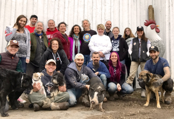 Photograph of volunteers at the Arthur Acres Animal Sanctuary