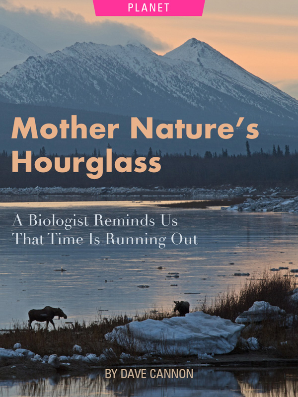 Mother Nature’s Hourglass: A Biologist Reminds Us That Time Is Running Out by Dave Cannon. Photograph of a moose drinking along the water's edge by Dave Cannon.