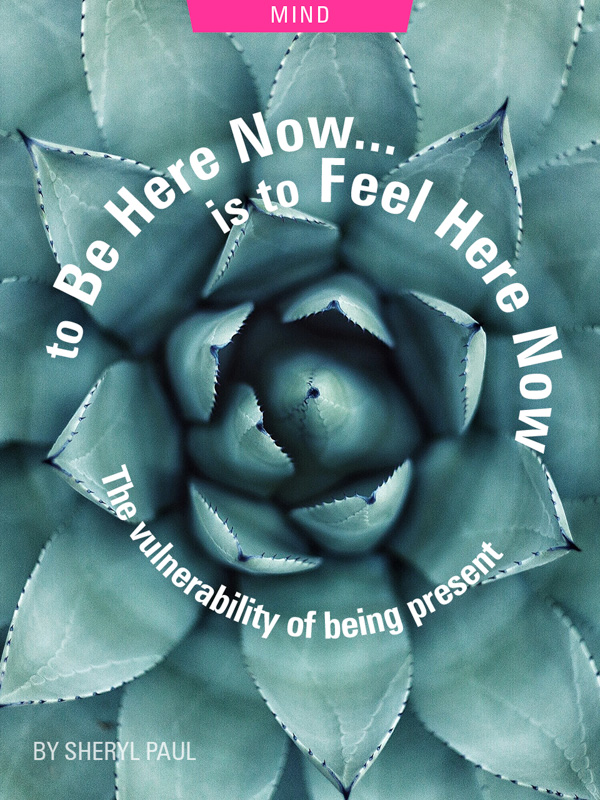 To Be Here Now Is To Feel Here Now: The Vulnerability of Being Present by Sheryl Paul. Photograph of a succulent by Erol Ahmed