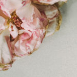End Game: How To Do It Your Way (Yes, Even Dying) by Susan Mercer. Photograph of a dying flower by Daria Shevtsova.