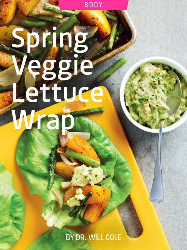 Spring Veggie Lettuce Wrap recipe by Dr. Will Cole. Photograph of Spring Veggie Lettuce Wrap with guacamole