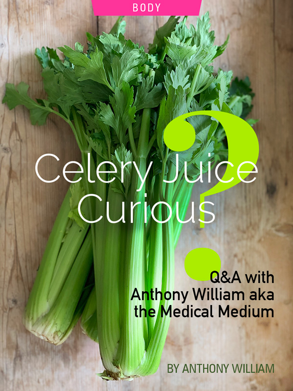 Celery Juice Curious? Q&A With Anthony William aka the Medical Medium. Photograph of celery by Kristen Noel