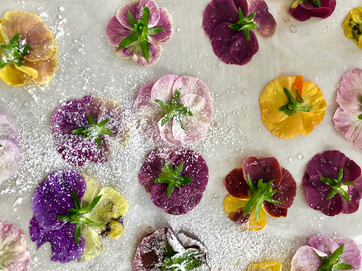 Photograph of flower petals with powdered sugar by Christine Moss