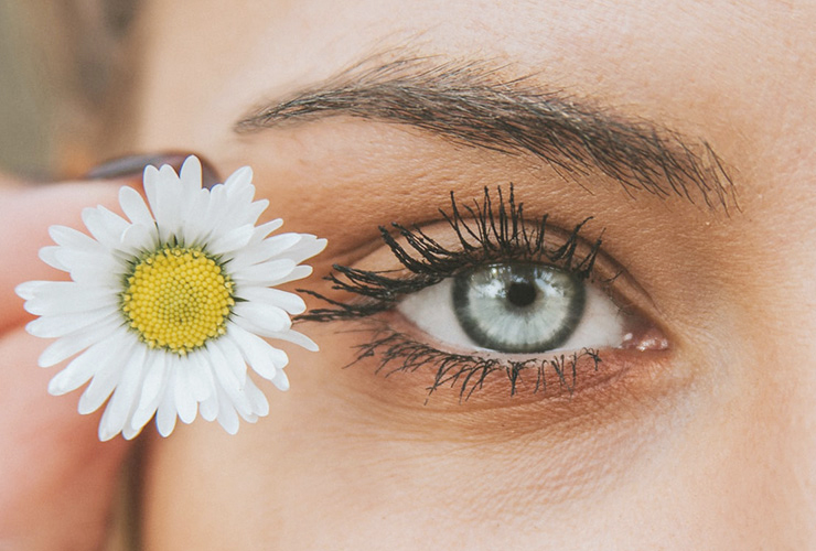 Eye Care: Tips for Healthy Vision This Fall and Winter by Lauren Patrosino. Photograph of a woman's blue eye with a daisy flower next to it by Angelos Michalopulos