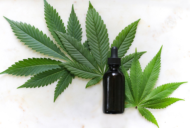 CBD Oil and Its Effects on Mood, Depression and Anxiety by Michael Jacobs. Photograph of Marijuana leaves with a dropper of CBD oil by Kimzy Nanney