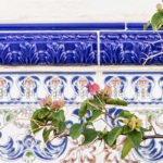 Silence: Oxygen For The Soul by Christine Moss. Graphic of plants growing over blue and pink pattern by Ornelle Binni