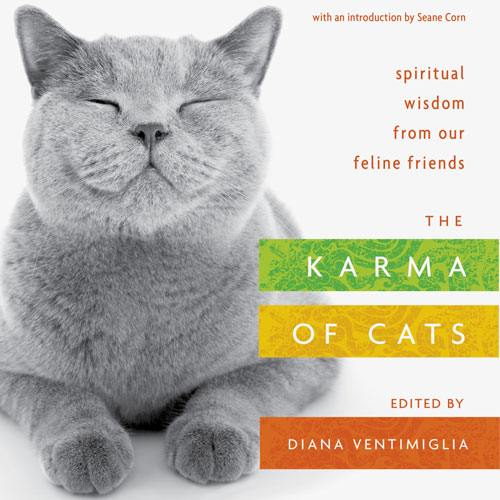 The cover of the book "The Karma of Cats" featuring Kelly McGonigal
