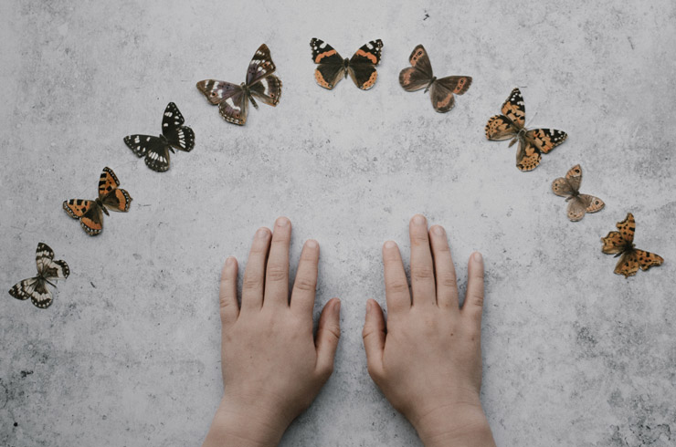 8 Strategies to Help a Child With Special Needs Succeed, by Lynda Arbon. Photograph of child's hands with butterflies by Annie Spratt