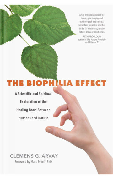 The Biophillia Effect