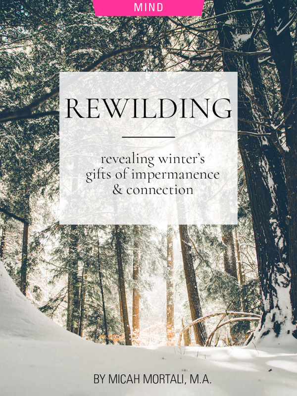 Rewilding: Revealing Winter’s Gifts of Impermanence and Connection, by Micah Mortali. Photograph of winter snow in forest by Donnie Rose