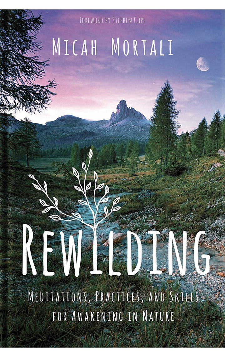 Book cover of ReWilding by Micah Mortali