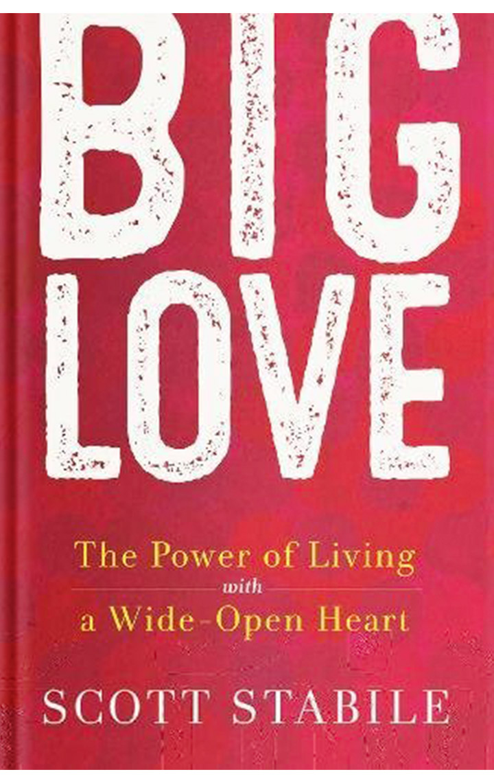 big big love book