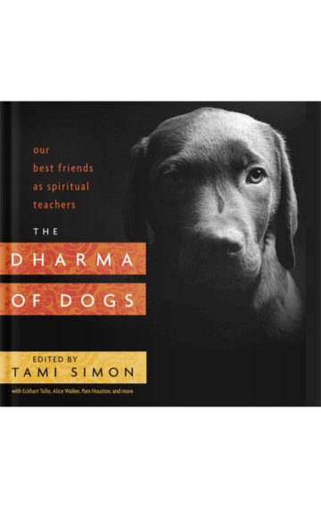 The Dharma of Dogs
