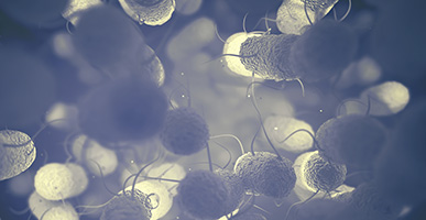 The Good Bacteria: The Healing Power of Probiotics