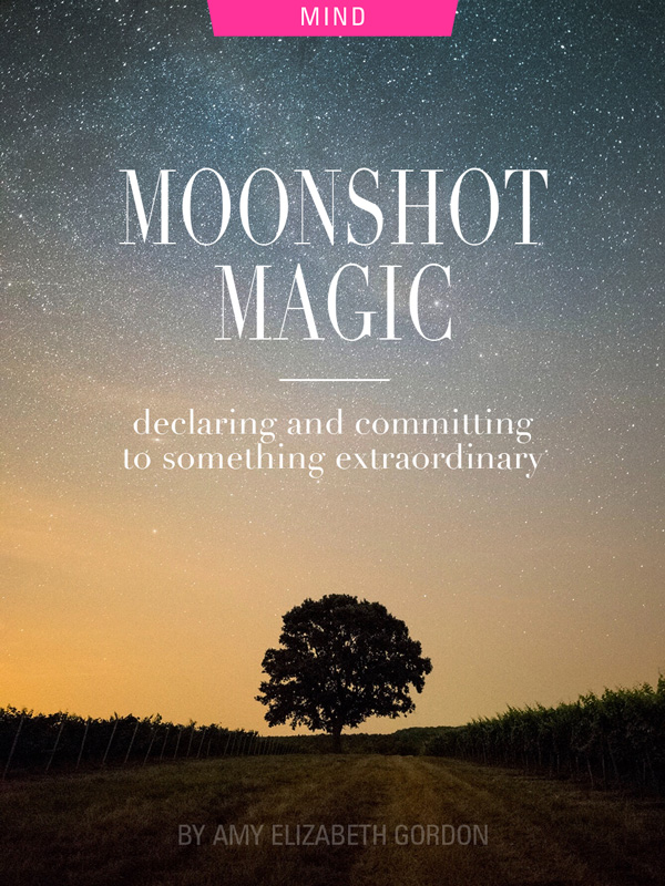 Moonshot Magic: Declaring & Committing to Something Extraordinary by Amy Elizabeth Gordon. Photograph of a starry sky over a tree by Daniel Olah