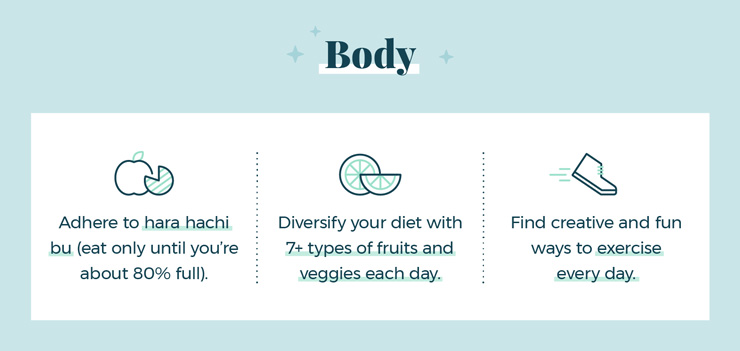 Graphic image of body health according to Ikigai