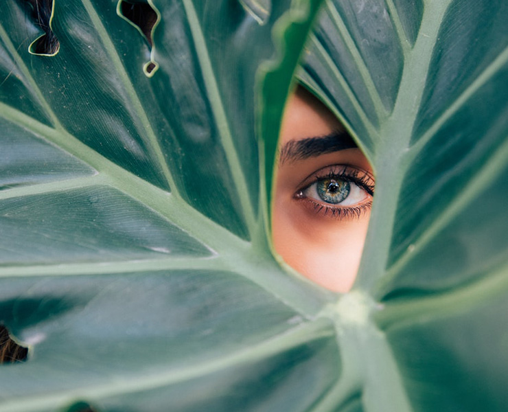 6 Simple & Healthy Choices For You, Your Home and Our Planet by Sasha Nailla. Photograph of a woman's eye through a palm leaf by Drew Graham