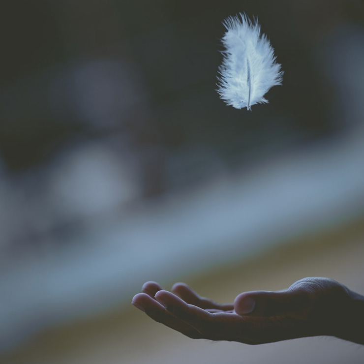 Learning to Hear (and Trust) Your Intuition by Venus Castleberg. Photograph of a hand with a feather floating above it by Javardh