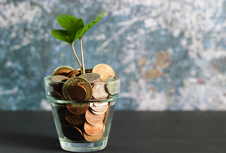 Is Money Your Excuse For Failure? by Andrew Gardella. Photograph of a jar of pennies with a plant sprouting out by Micheile Henderson
