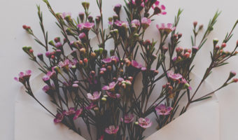 A Letter To My Younger Self: I Couldn’t Have Gotten Here Without You by Christine Northrup, MD. Photograph of an envelope with flowers bursting out of it by Carolyn V