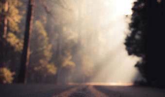 Living What Matters: Reflections, Prose and 52 Prompts for Self-Inquiry by Mark Nepo. Photograph of a sun lit road through the woods by Casey Horner