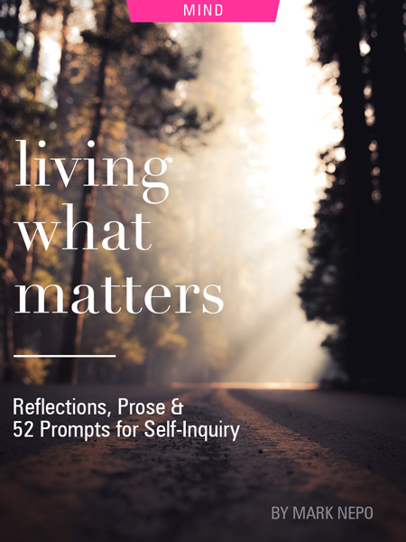 Living What Matters: Reflections, Prose and 52 Prompts for Self-Inquiry by Mark Nepo. Photograph of a sun lit road through the woods by Casey Horner