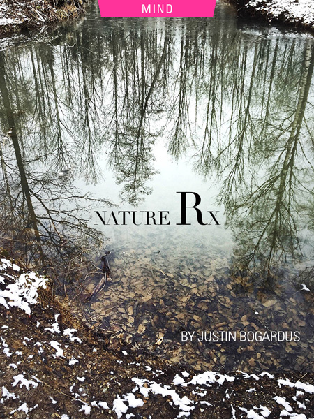 Nature Rx | The Healing Power Of Nature, by Justin Bogardus. Photograph of reflections in a pond in winter landscape by April Valencia