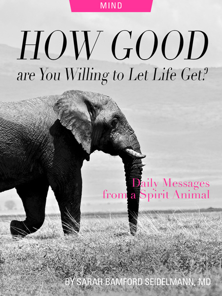 How Good Are You Willing To Let Life Get? Daily Messages From A Spirit Animal, by Sarah Bamford Seidelmann, MD. Photograph of elephant by Parsing Eye